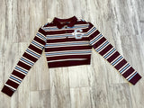 Chocolate/Carolina Blue Stripe Varsity Polo